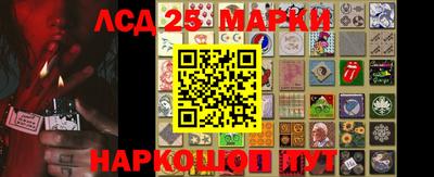 Альфа ПВП Обь