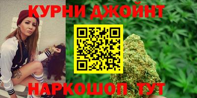 Альфа ПВП Обь