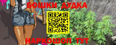 Альфа ПВП Обь