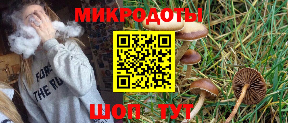 Галлюциногенные грибы Cubensis Сосновоборск